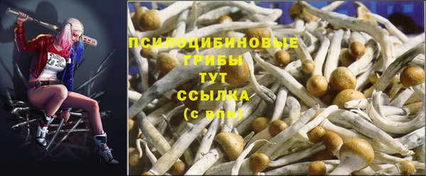 метадон Абдулино