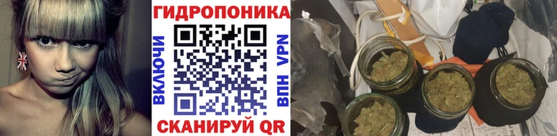 Каннабис MAZAR  Сухой Лог 